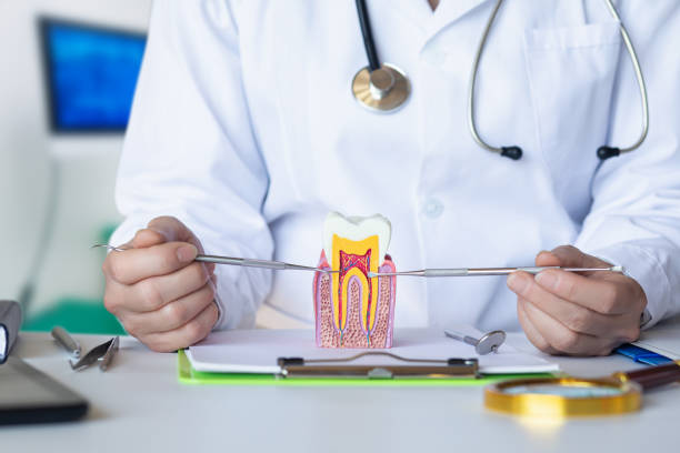 Best Emergency Dental Services for Seniors in Lowell, MI